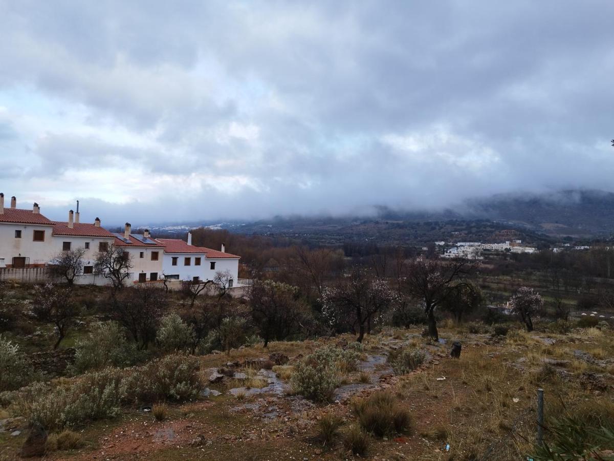 Los Olivos De Fondón المظهر الخارجي الصورة