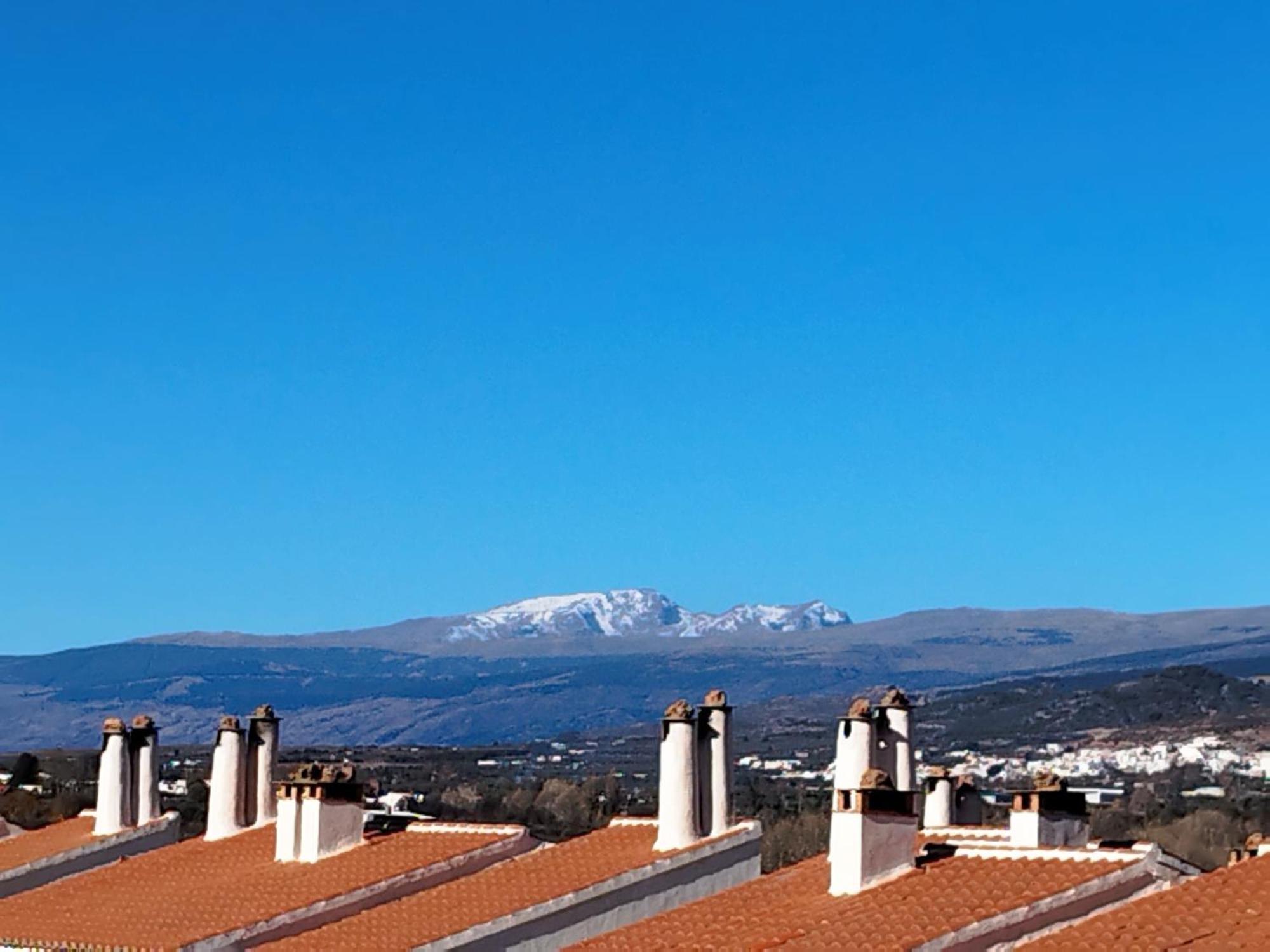 Los Olivos De Fondón المظهر الخارجي الصورة
